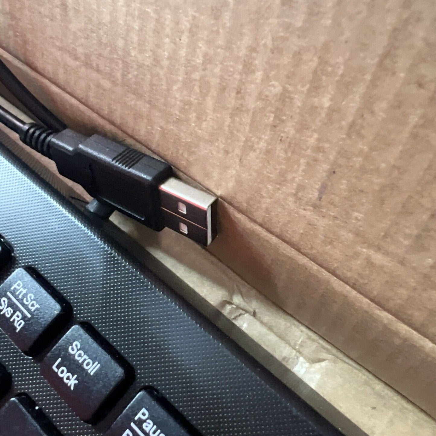 PC Wired UK Keyboard Keyboard PC Keyboard KB313U 20060728