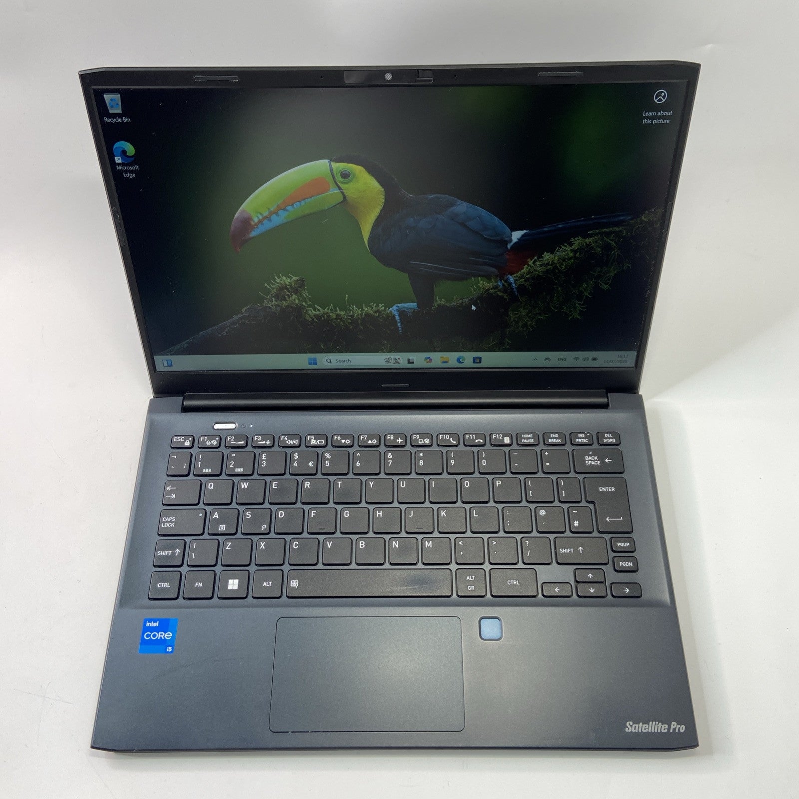 Toshiba Dynabook Satellite Pro C30-K-115 Intel Core i5-1235U 8GB RAM 256GB SSD