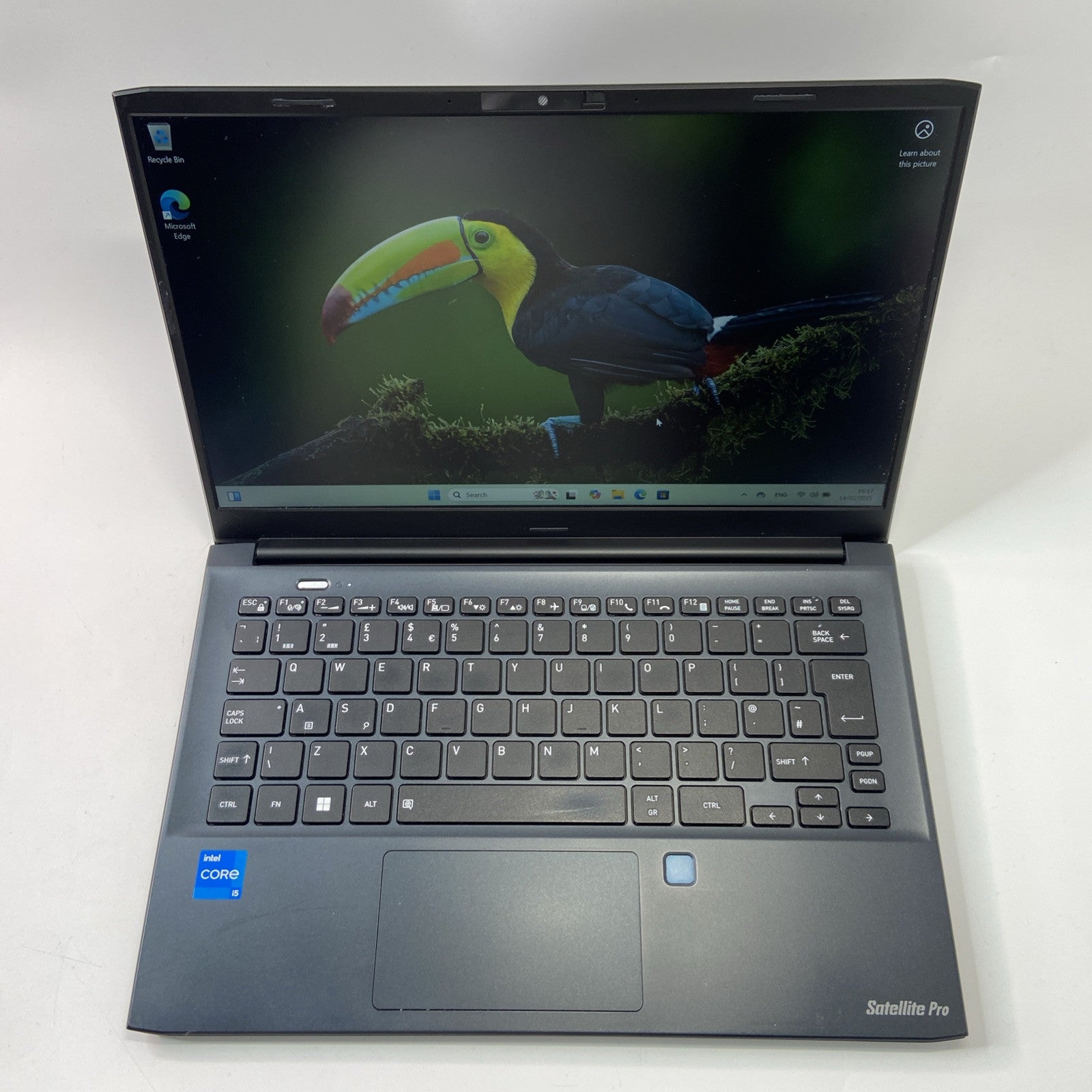 Toshiba Dynabook Satellite Pro C30-K-115 Intel Core i5-1235U 8GB RAM 256GB SSD