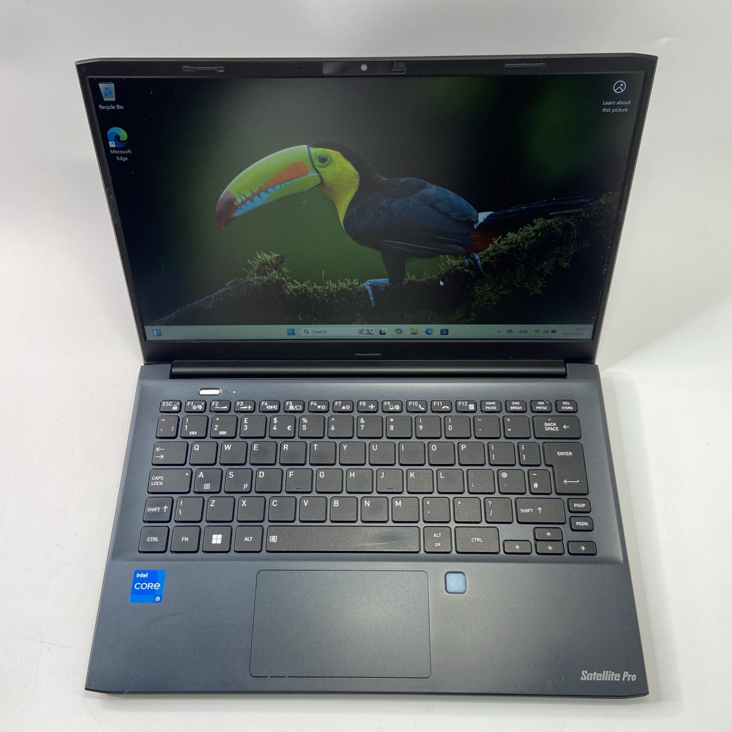 Toshiba Dynabook Satellite Pro C30-K-115 Intel Core i5-1235U 8GB RAM 256GB SSD