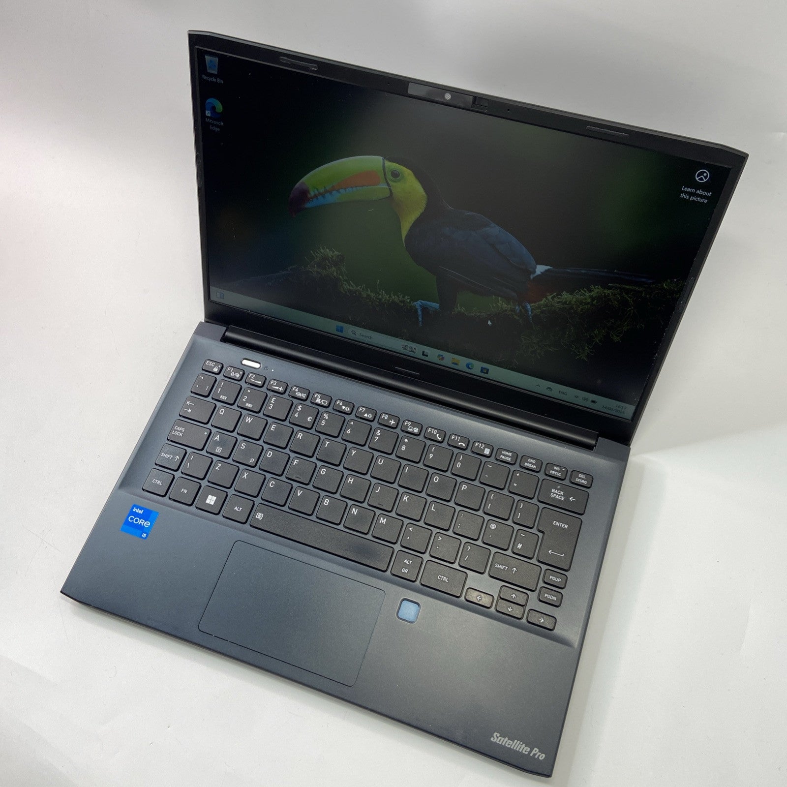 Toshiba Dynabook Satellite Pro C30-K-115 Intel Core i5-1235U 8GB RAM 256GB SSD